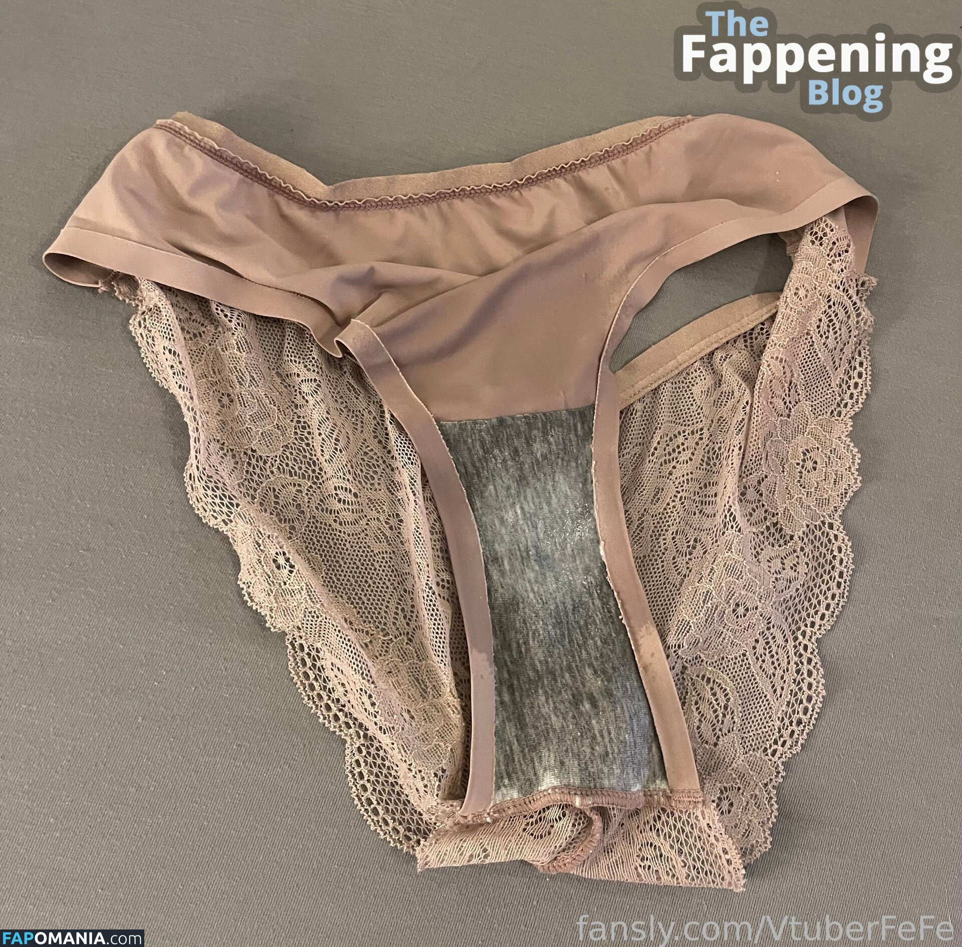 FeFe / VtuberFefe / covfefechan Meztelen OnlyFans  Kikerült fotó #111