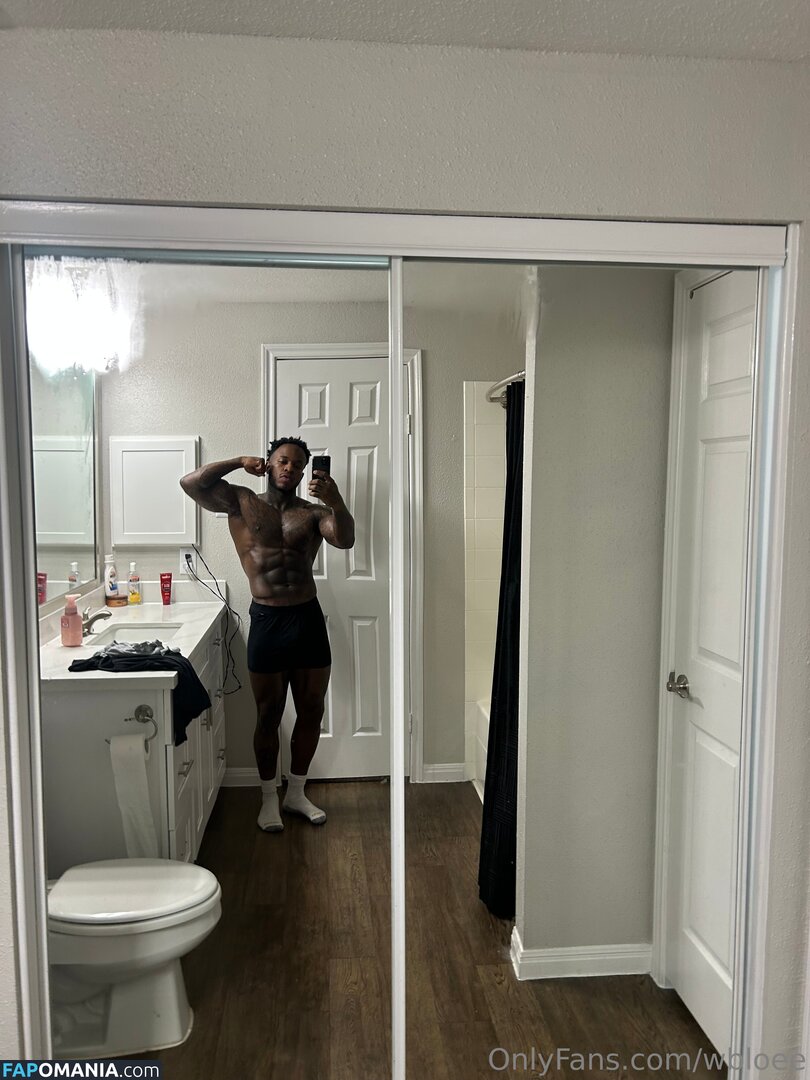 wb_loe / wbloee Meztelen OnlyFans  Kikerült fotó #1