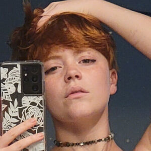 Willow.Trie