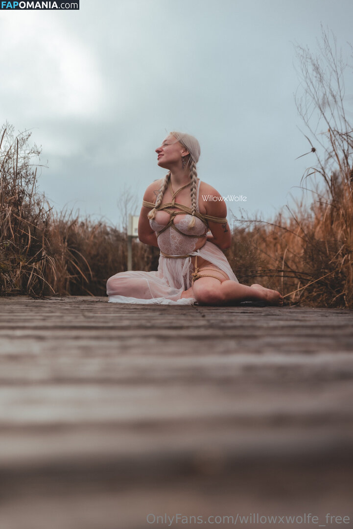 willowxwolfe / willowxwolfe_free Meztelen OnlyFans  Kikerült fotó #11