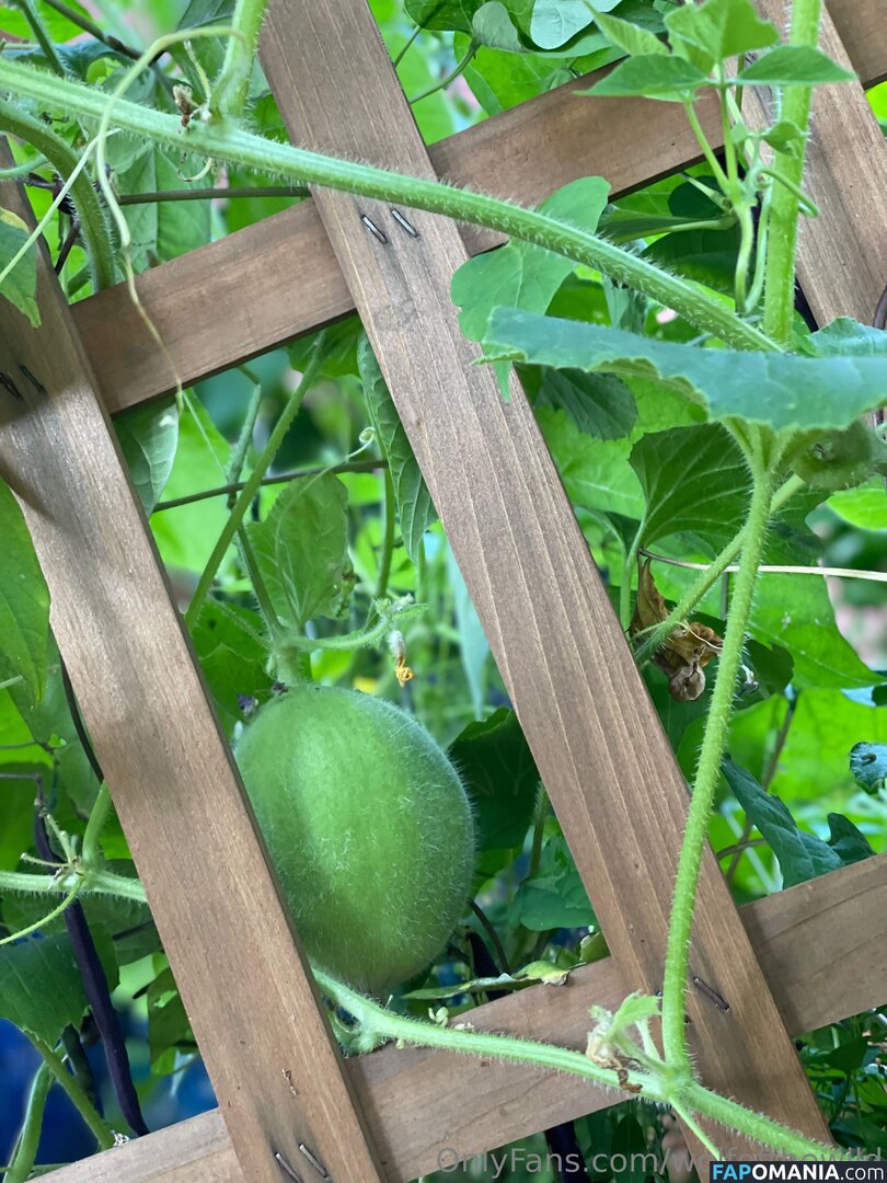 wolfofthewild / wolfofthewildd Meztelen OnlyFans  Kikerült fotó #8