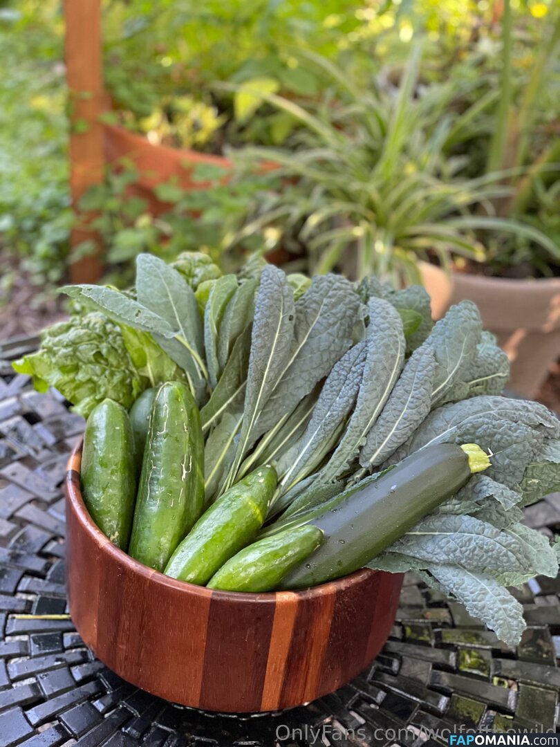 wolfofthewild / wolfofthewildd Meztelen OnlyFans  Kikerült fotó #10