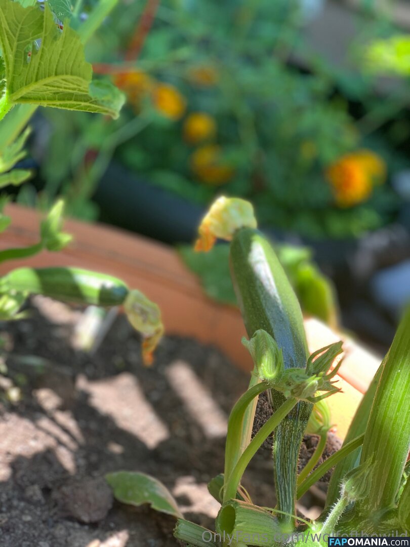 wolfofthewild / wolfofthewildd Meztelen OnlyFans  Kikerült fotó #13