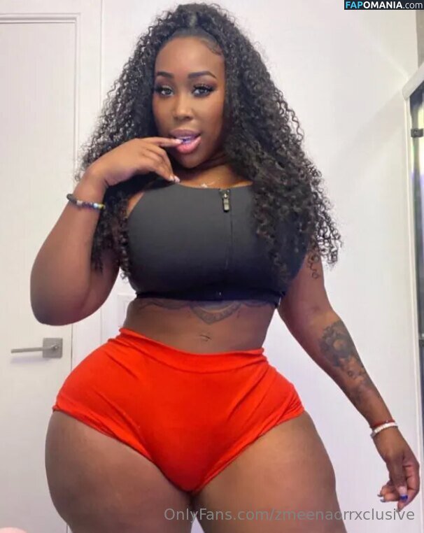 zmeenaorr / zmeenaorrxclusive Meztelen OnlyFans  Kikerült fotó #27